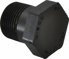 NIBCO Nibco CC03600 Hex Plug 3/4 in Schedule 80 Polypropylene Npt