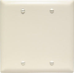LEGRAND Pass Seymour TP23LACC12 2 Gang Blank Nylon Wall Plate