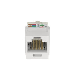 PANDUIT Panduit NK6TMWH Cat 6 Utp Jack Module