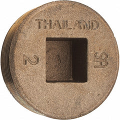 MERIT BRASS Merit Brass 118-32 Brass Countersunk Plug 2 in Mnpt Fnpt