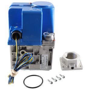 LOCHINVAR 100171955 GAS VALVES