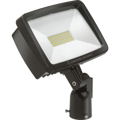 ACUITY BRANDS Lithonia Lighting 2552MC Led Floodlight 24W 120V