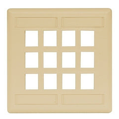 HUBBELL Hubbell Premise Wiring IFP212EI Wall Plate 2-gang 12 Port