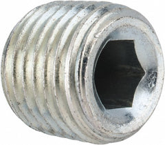 PARKER Parker 1/4 Hhp-s Hollow Hex Plug 1/4 Inch Mnptf