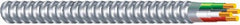 SOUTHWIRE Southwire/coleman Cable 55278323 14/2 Act Armored Cable 100 Ft