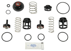 WATTS Watts RK 919-T Total Repair Kit (3/4 Inch) 0888168