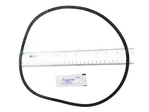 PENTAIR Pentair 25230-0010S Tank O-Ring