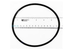 PENTAIR 35505-1438 O-RINGS & GASKETS