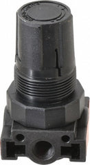 PARKER Parker R24-02CK Miniature Air Regulator 1/4 Npt 150 Psi