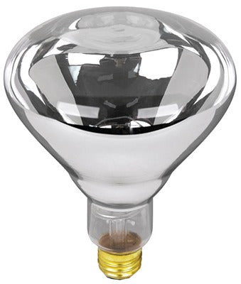 FEIT ELECTRIC Feit Electric 250R40/1 R40 Heat Lamp 250W Clear