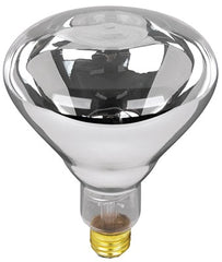 FEIT ELECTRIC Feit Electric 250R40/1 R40 Heat Lamp 250W Clear