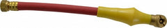 COILHOSE PNEUMATICS Coilhose Pneumatics A1066 Ball Foot Chuck Inflator