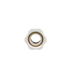 WATTS Watts 3510-1416 AquaLock Plastic Series Female Adapter Connector (3/4 CTS x 1 NPS) 959789