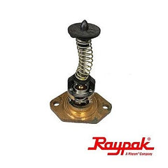 RAYPAK Raypak 017958F U.G. Bypass Assembly Kit