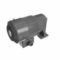 GLOBE Globe X80H56 Motor Bowl Raise 1/8 HP (Each GLOX80H56)