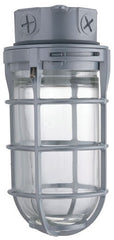 LITHONIA LIGHTING VC150IM12 WORK LIGHTS & FLASHLIGHTS