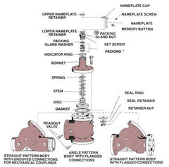BELL & GOSSETT V50954 VALVE REPAIR & REBUILD KITS