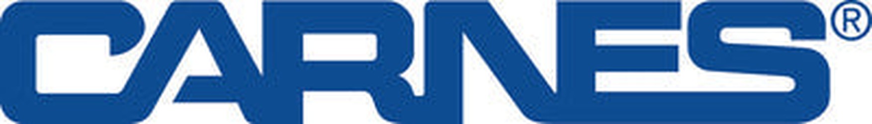 CARNES V999-8637 BEARINGS