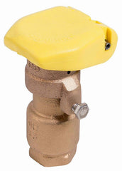 RAIN BIRD Rain Bird B11502 33DRC Quick-Coupling Valve 3/4 inches