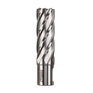 DEWALT DWAC02013 DRILL & DRIVER BITS