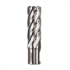 DEWALT DWAC02013 DRILL & DRIVER BITS