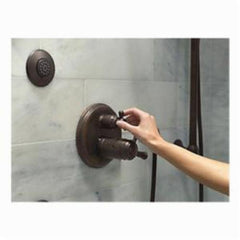 DELTA Delta - Focus T50010-RB Delta HydraChoice Round Body Spray Trim, Flush Mount