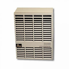 Empire-DV210-Wall-Heater-500x500.jpg