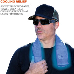 Ergodyne 12420 Chill-Its 6602 Cooling Towel Blue One Size