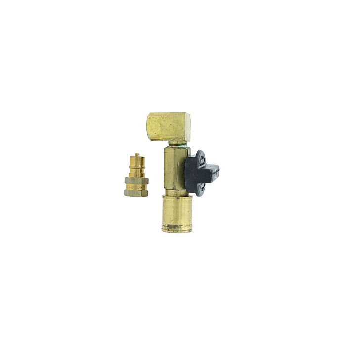 GAS_T103029_cf45.JPG