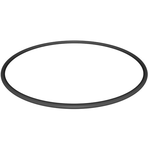 HAYWARD CX900F O-RINGS & GASKETS