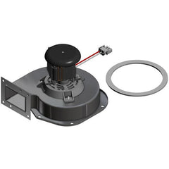HAYWARD FDXLBWR1930 BLOWER MOTORS