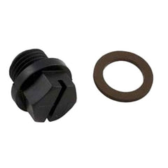 Hayward SPX1700FG Pipe Plug w/ Gasket | SPX1700FG