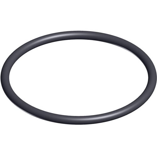 HAYWARD SX200Z4PAK2 O-RINGS & GASKETS