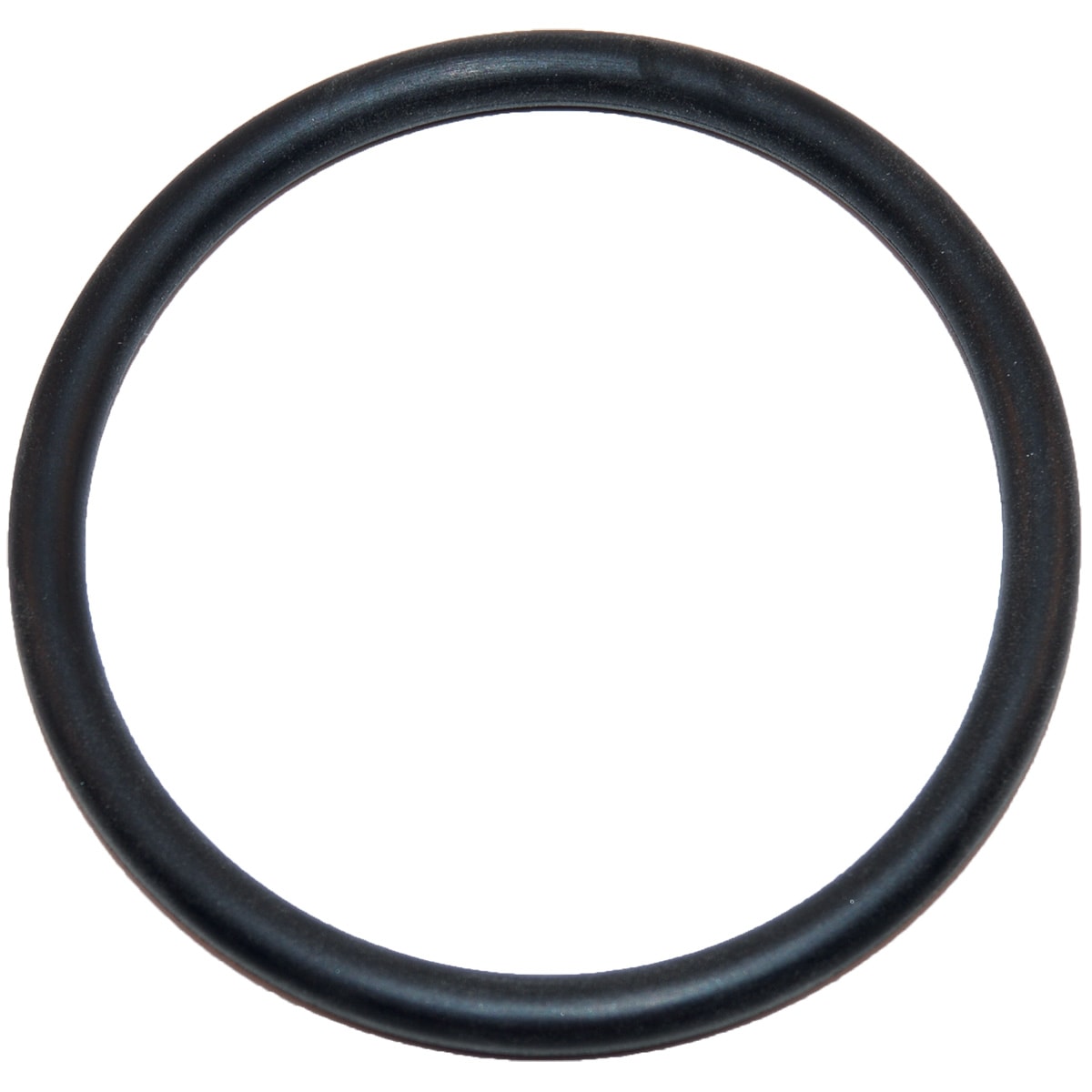 HAYWARD SX220Z2 O-RINGS & GASKETS