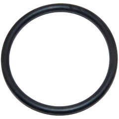 HAYWARD SX220Z2 O-RINGS & GASKETS