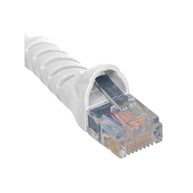 ICPCSJ10WH_1.jpg