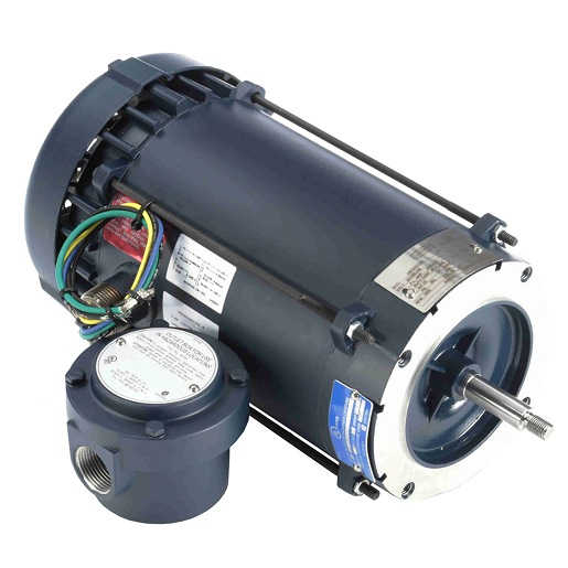 REGAL REXNORD Leeson 116186.00 Explosion Proof AC Motor 3/4 HP (56J)