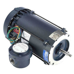 REGAL REXNORD Leeson 116186.00 Explosion Proof AC Motor 3/4 HP (56J)