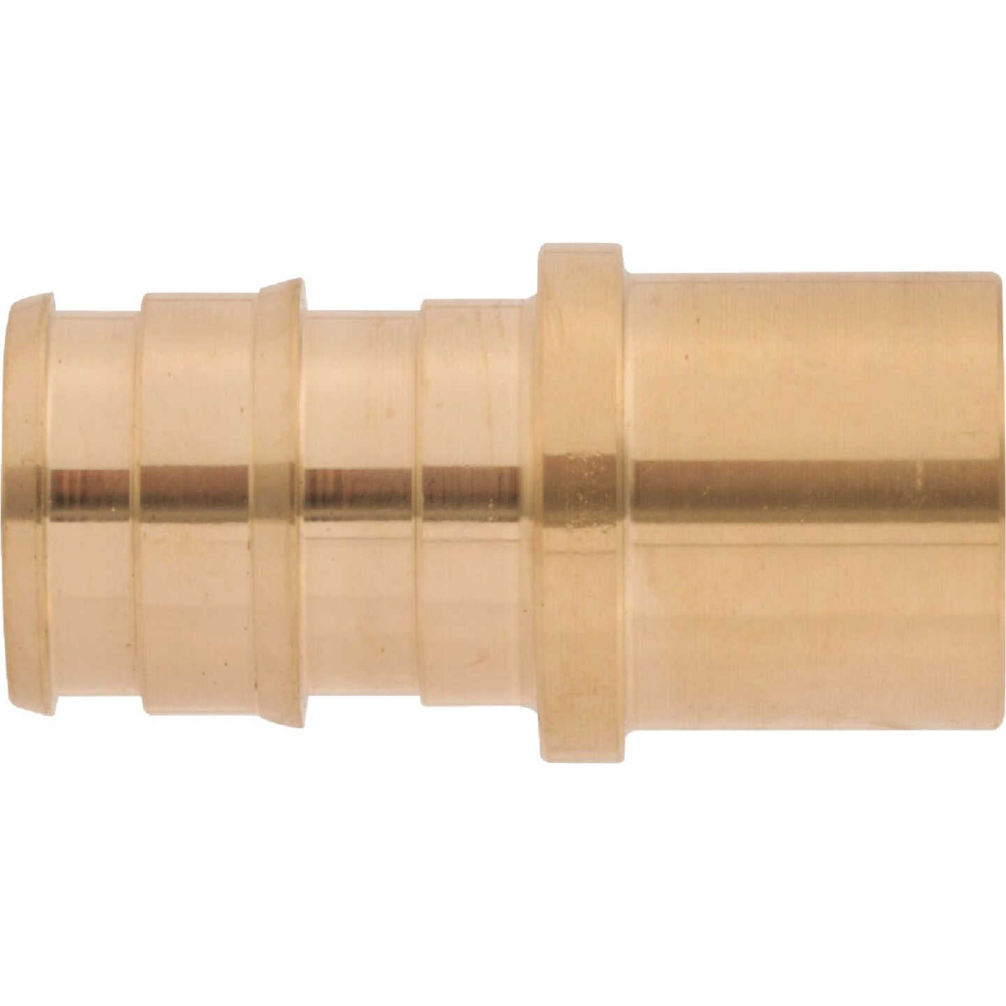 SHARKBITE Sharkbite UAB607LFA PEX-A Brass 1/2 in x 1/2 in MSWT Sweat Adapter