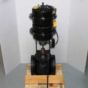 JOHNSON CONTROLS VG2431VN+865E01 GLOBE VALVES