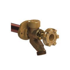 WOODFORD Woodford 17W3-8-MH Model 17 Freezeless Anti-Siphon Wall Faucet 3/4 in x 8 in