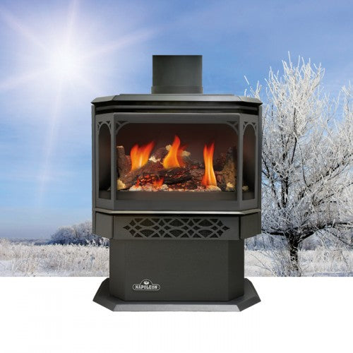Napoleon-GDS28-Gas-Stove-Friendly-Fires.jpg