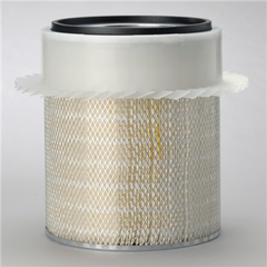 DONALDSON P181001 AIR FILTERS