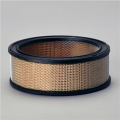 DONALDSON P530639 AIR FILTERS