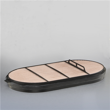 DONALDSON P621984 AIR FILTERS