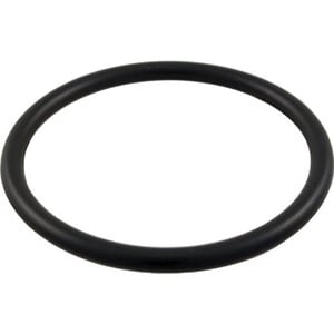 PENTAIR 154492 O-RINGS & GASKETS