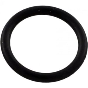 PENTAIR 192115Z O-RINGS & GASKETS