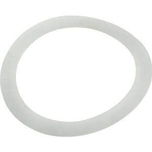 PENTAIR 195004 GASKETS