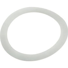 PENTAIR 195004 GASKETS