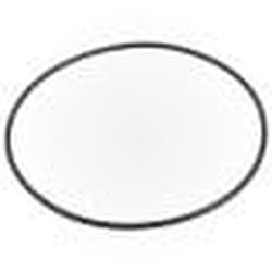 PENTAIR 271151 O-RINGS & GASKETS